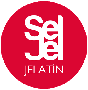 seljel_logo-Photoroom
